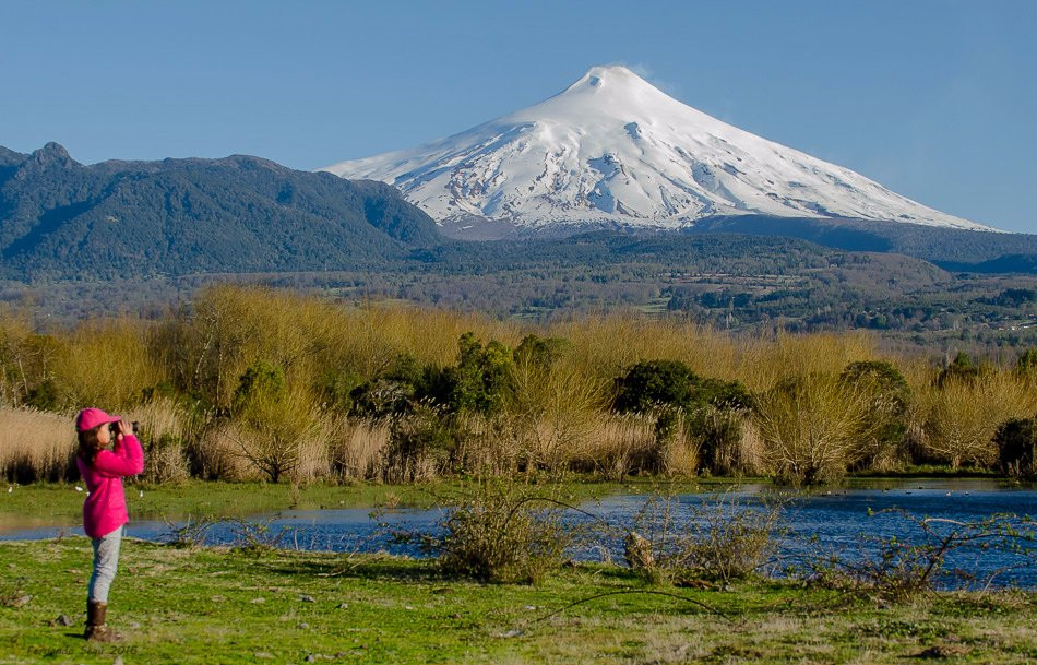 Pucon Birding-普孔必去景点