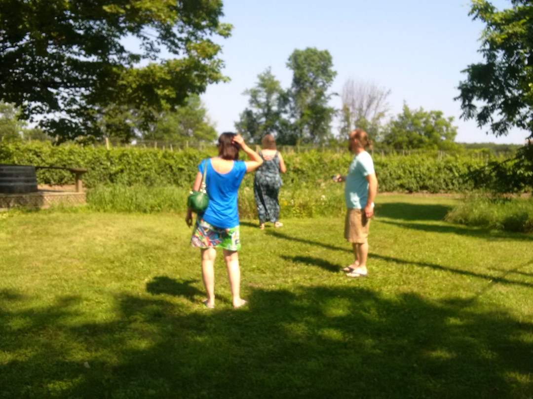 Long Dog Winery-Milford必去景点