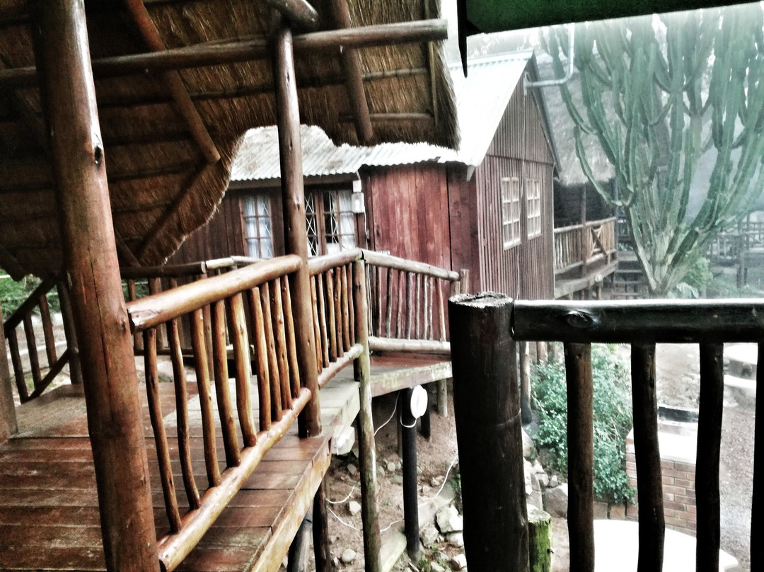 Treehouse River Lodge Spa景点图片