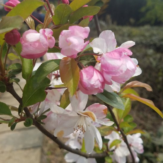 龚铜水电站库区-乐山市必去景点