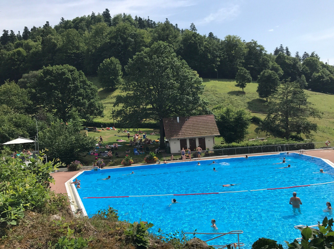 Schwimmbad Reichental景点图片