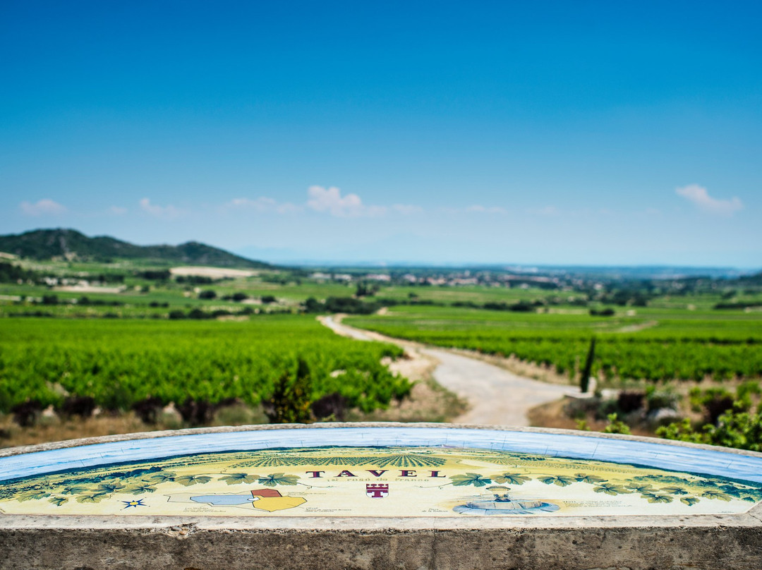Domaine de la Mordorée-Tavel必去景点