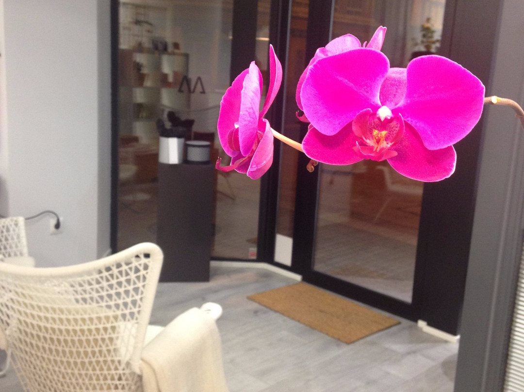 Sintiendo Mariposas Centro de Estetica景点图片