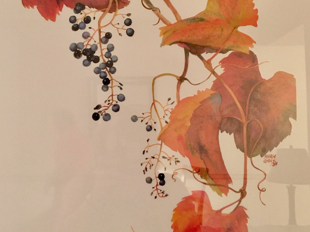 Padigan-梅德福必去景点