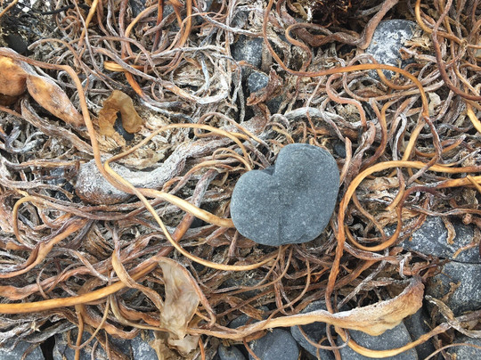 Fort Abercrombie State Historical Park-科迪亚克岛必去景点