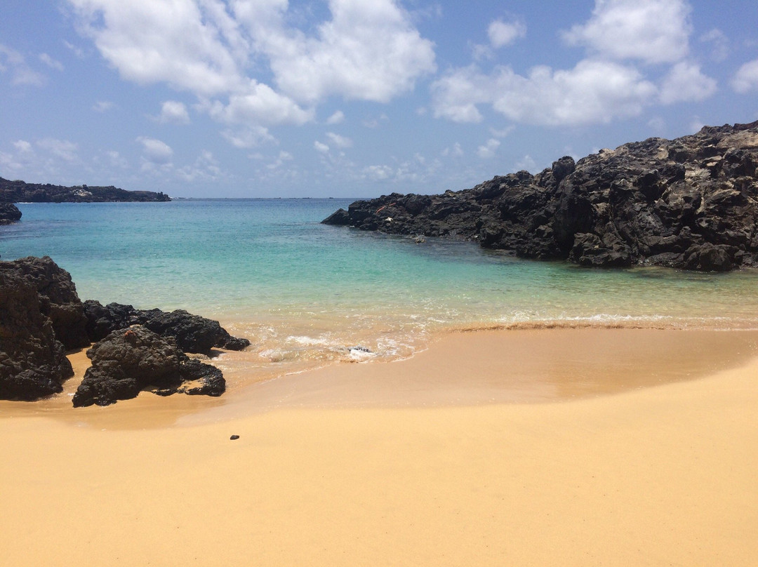Comfortless Cove-Ascension Island必去景点