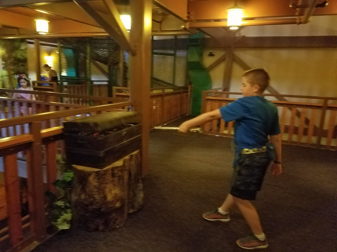 威利树林-威斯康星峡谷必去景点