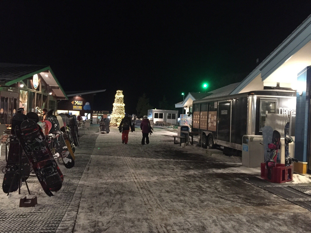 Snow Resort Yeti-裾野市必去景点