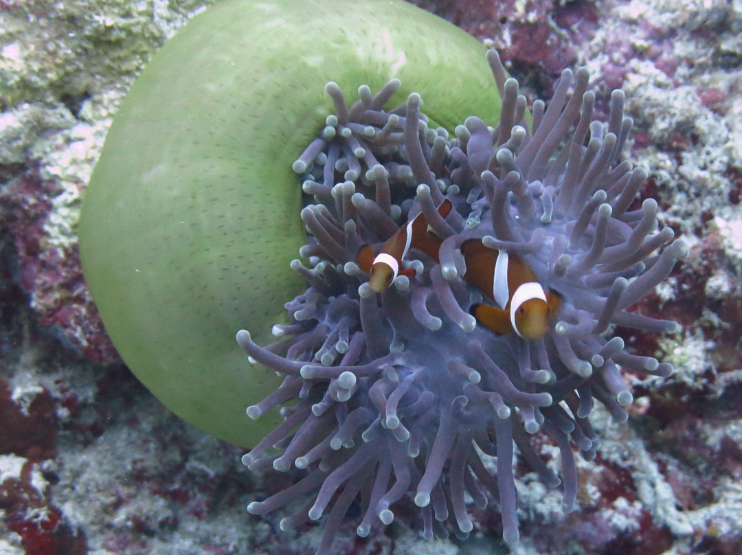 Arko Beach-邦劳岛必去景点
