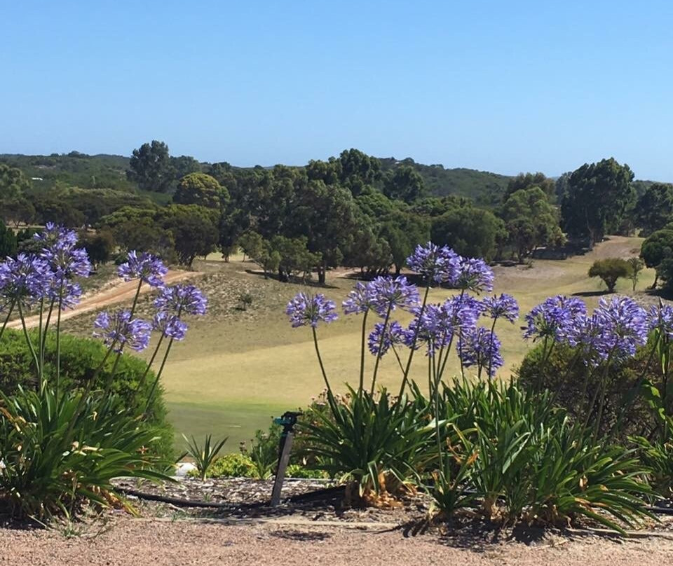 Pink Lake Golf-埃斯佩兰斯必去景点