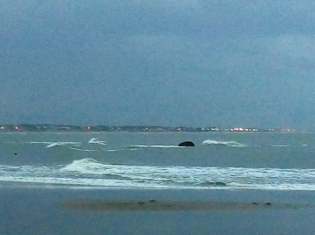 Praia da Primeira Pedra-Itapoa必去景点