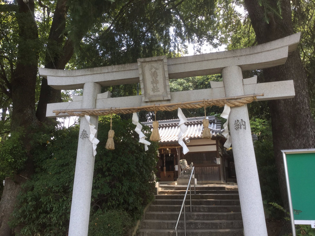 Tsudoshiroyama Ancient Tomb-藤井寺市必去景点
