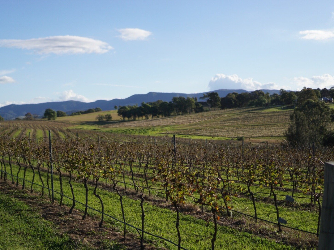 Peacock Hill Vineyard景点图片