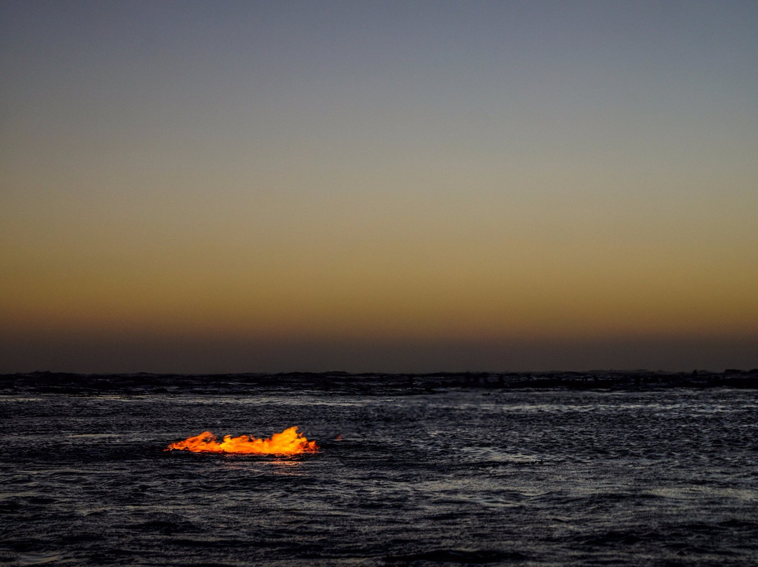 Isla Mocha-Tirua必去景点