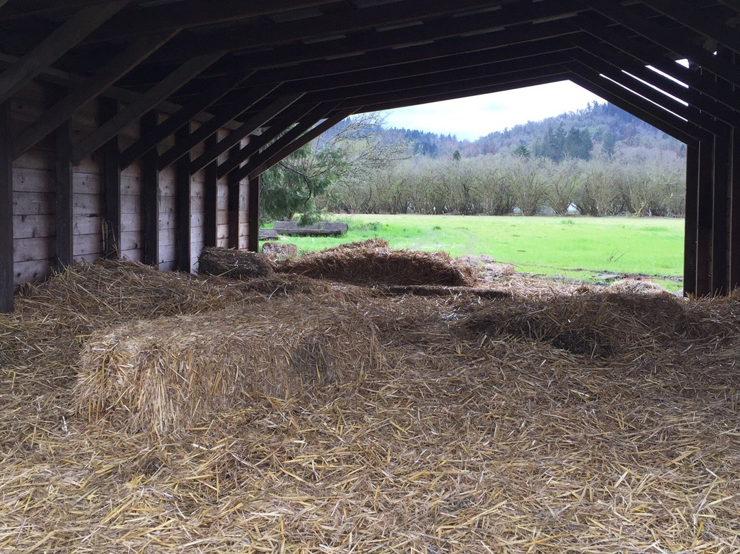 Dorris Ranch-斯普林菲尔德必去景点