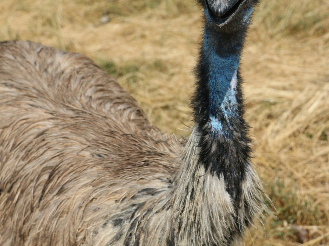 Autrucherie-Villiers-Saint-Georges必去景点