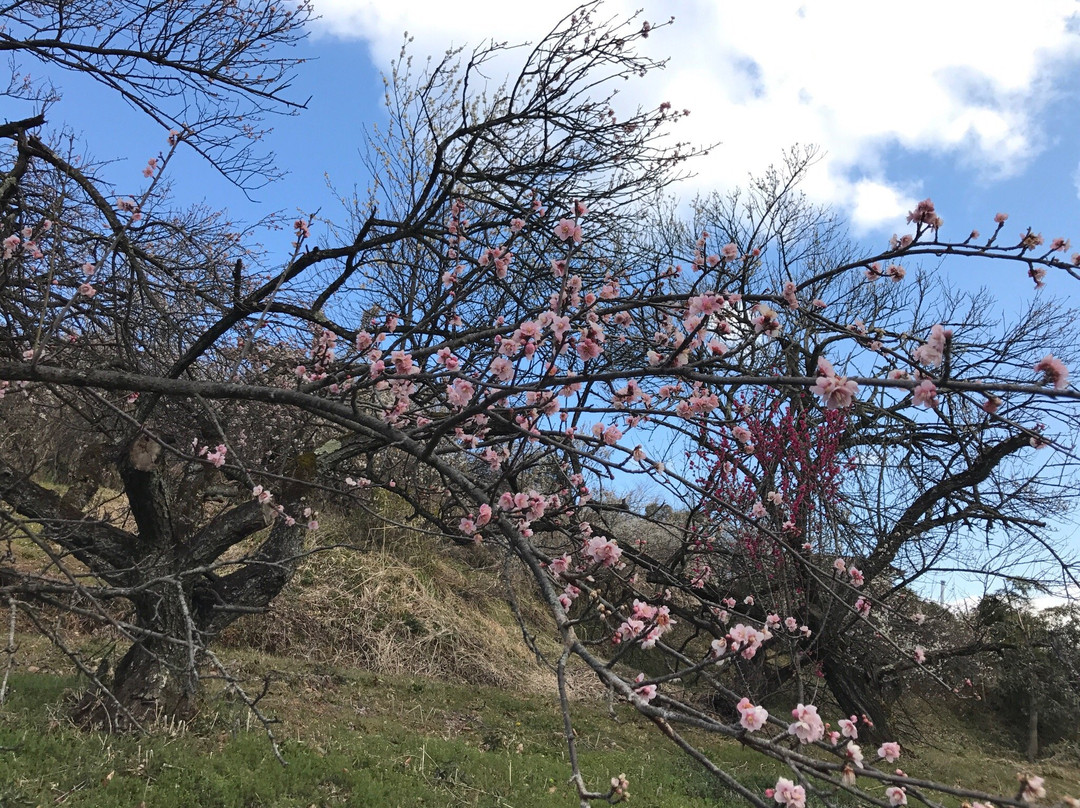 Akima Bairin-安中市必去景点