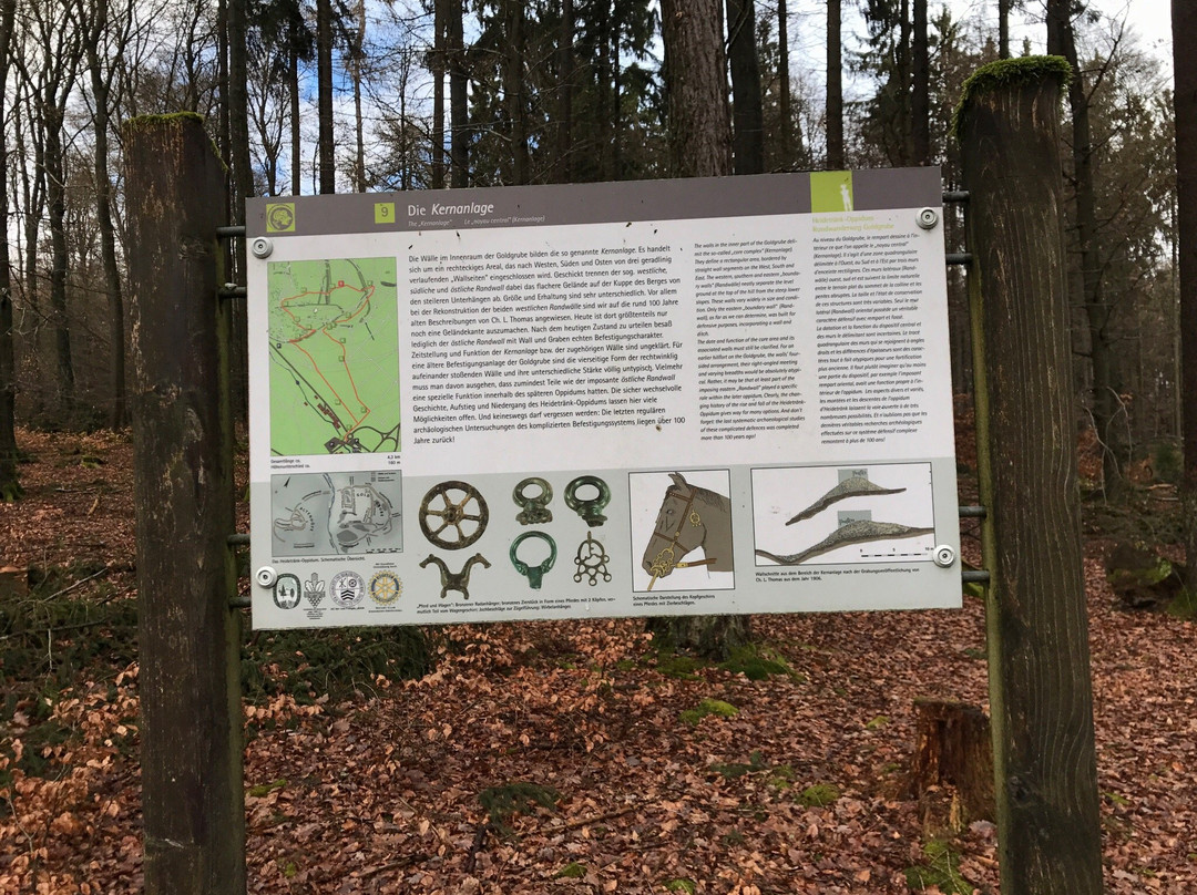 Celtic Trail at the Heidetränk Oppidum-Oberursel (Taunus)必去景点