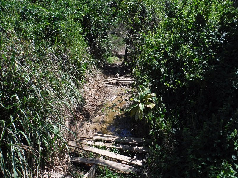 Estero Del Yugo-马萨特兰必去景点