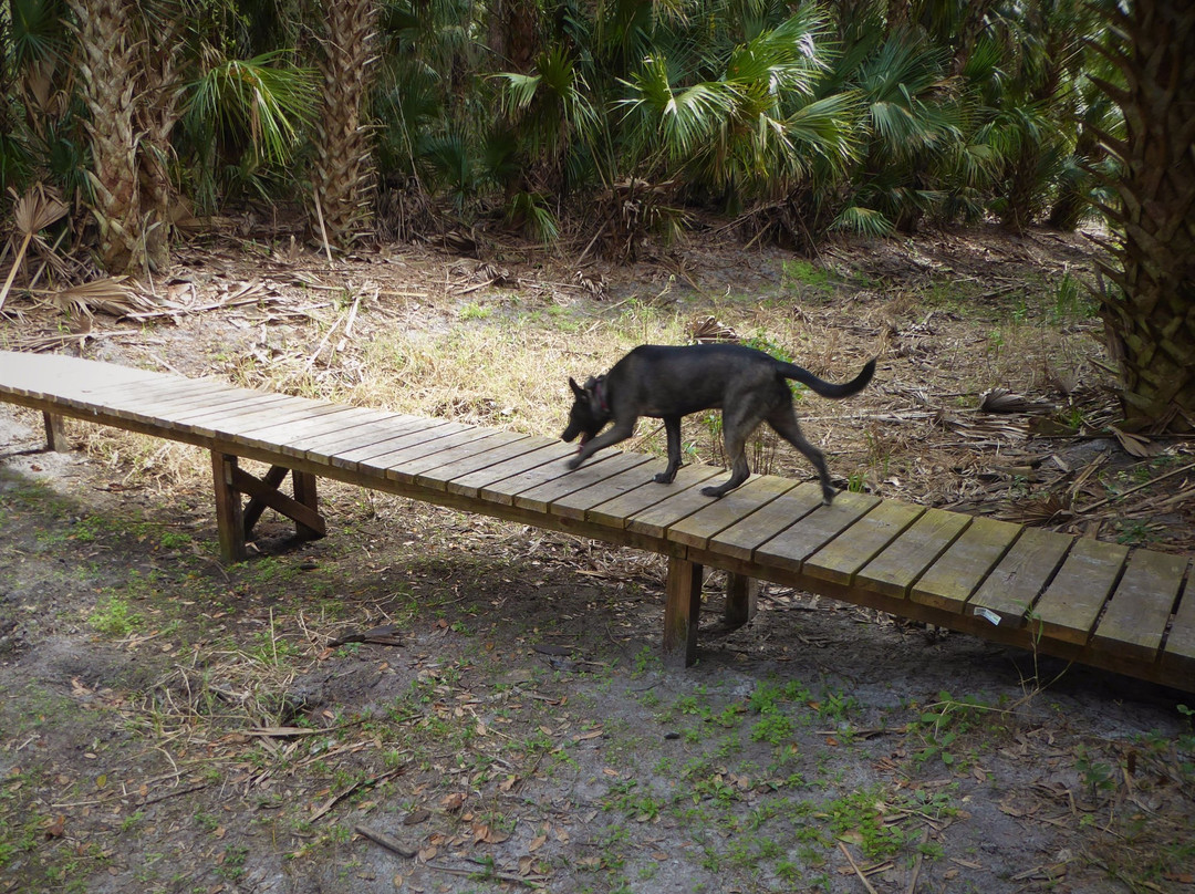 Lake Jesup Conservation Area-Oviedo必去景点