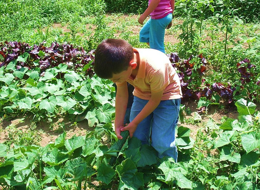 Snipes Farm & Education Center景点图片