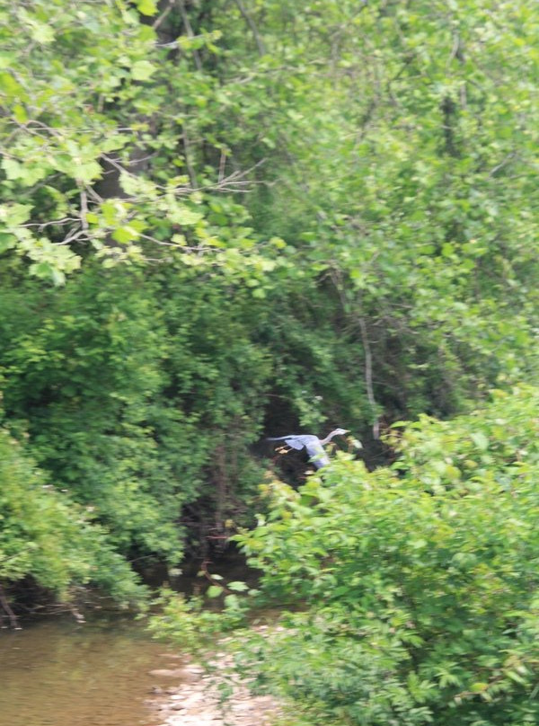 Ernst Trail-Meadville必去景点