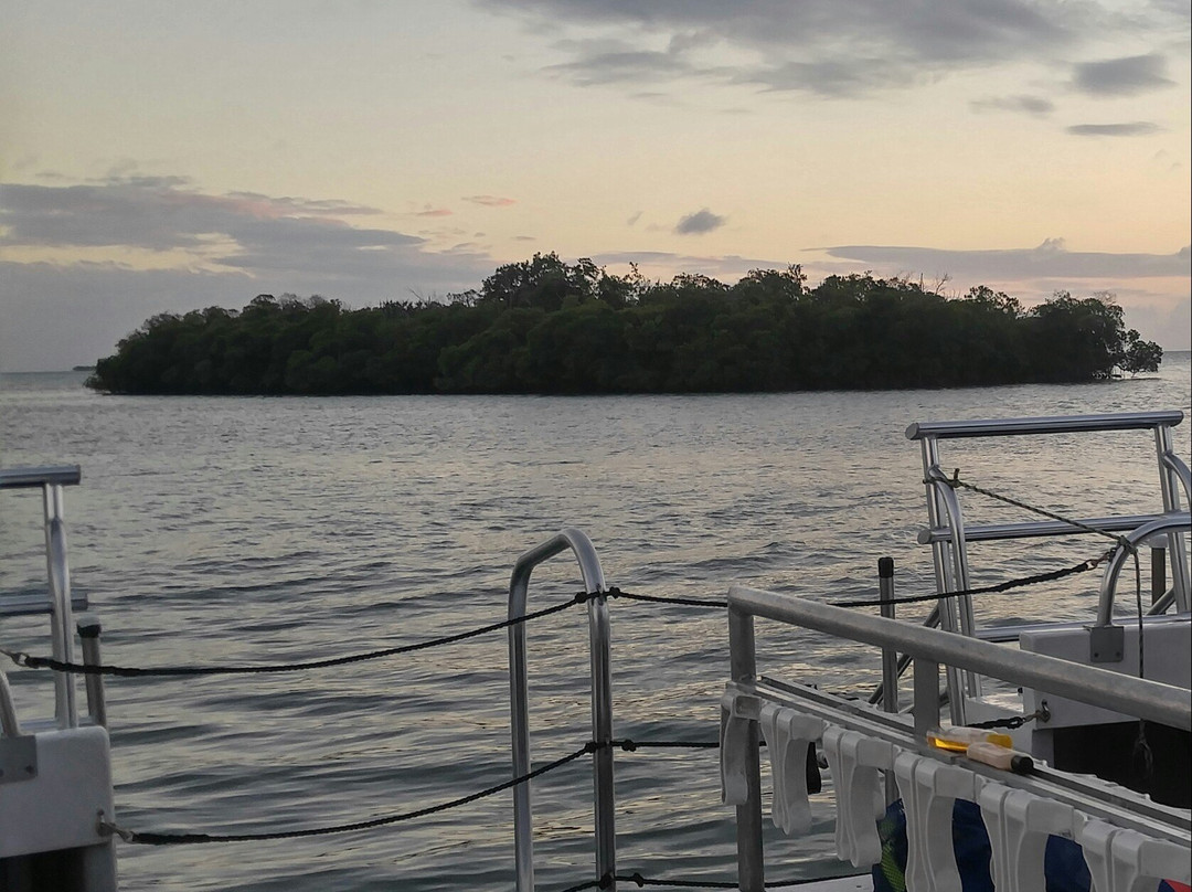 La Parguera Bioluminescent Bay-La Parguera必去景点
