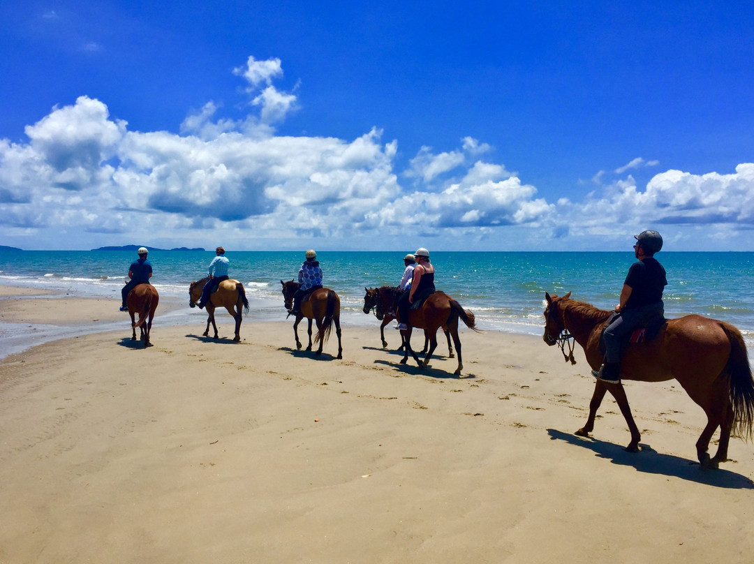 Ride the Beach Adventures-道格拉斯港必去景点