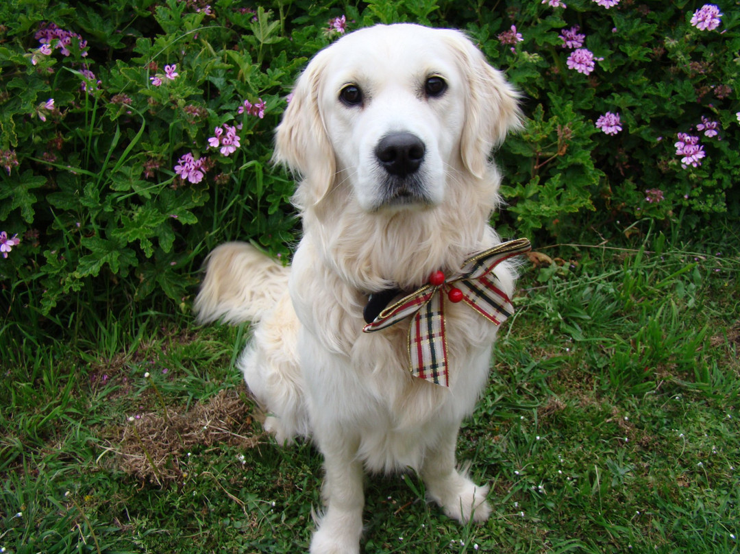 Wobbly Boot Vineyard-Campania必去景点