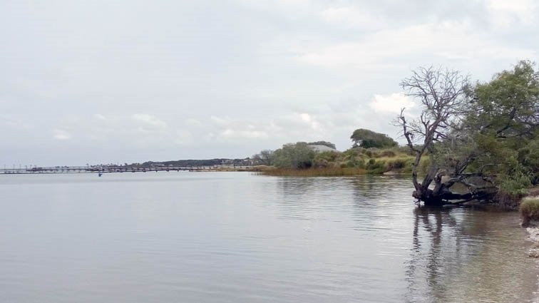 Howard Murph Memorial Park-罗克波特必去景点