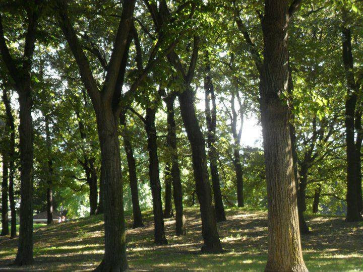 Parco della Pellerina-都灵必去景点