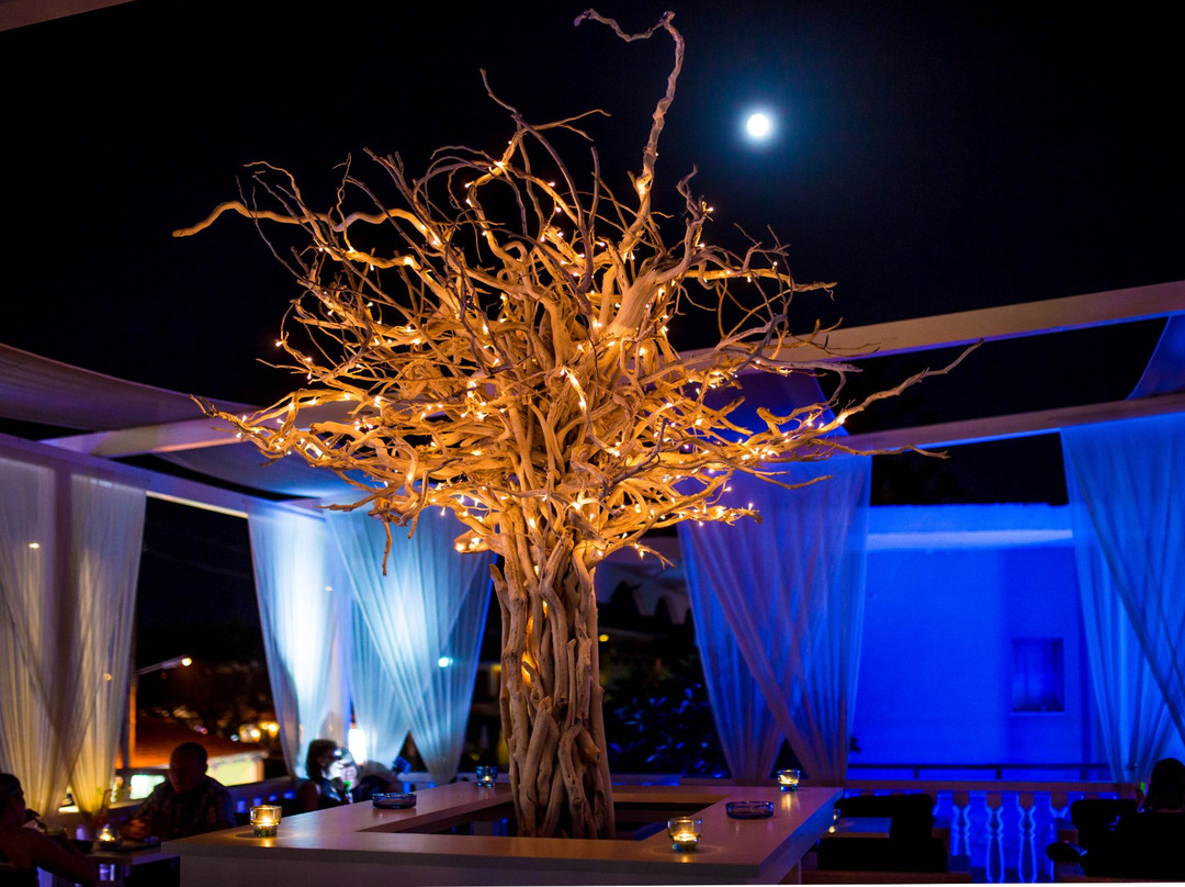 Sea Breeze Roof Cocktail Bar-阿雷克斯必去景点