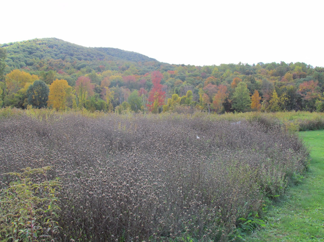 Hudson Highlands Nature Museum景点图片