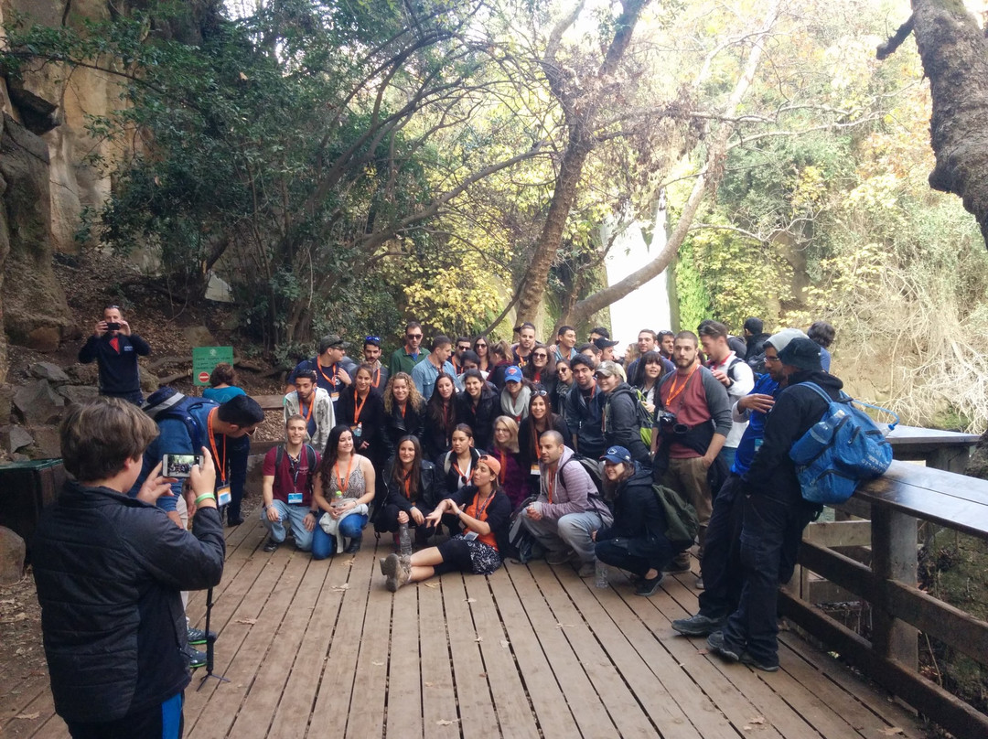 Israeli Guide Ltd-特拉维夫必去景点