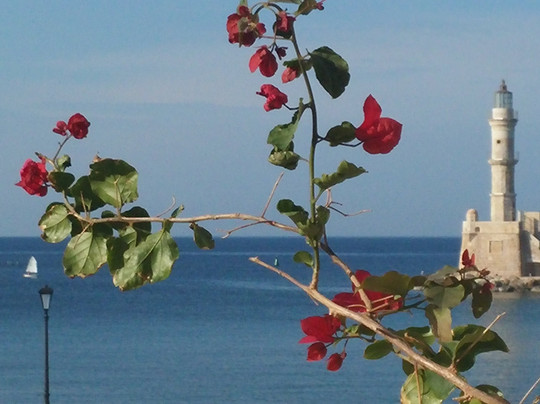 Aeriko Cafe-Bar-干尼亚必去景点