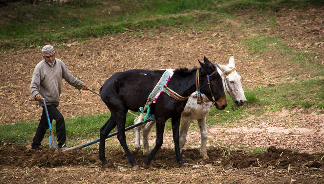 Images in the Sun Tours-索维拉必去景点