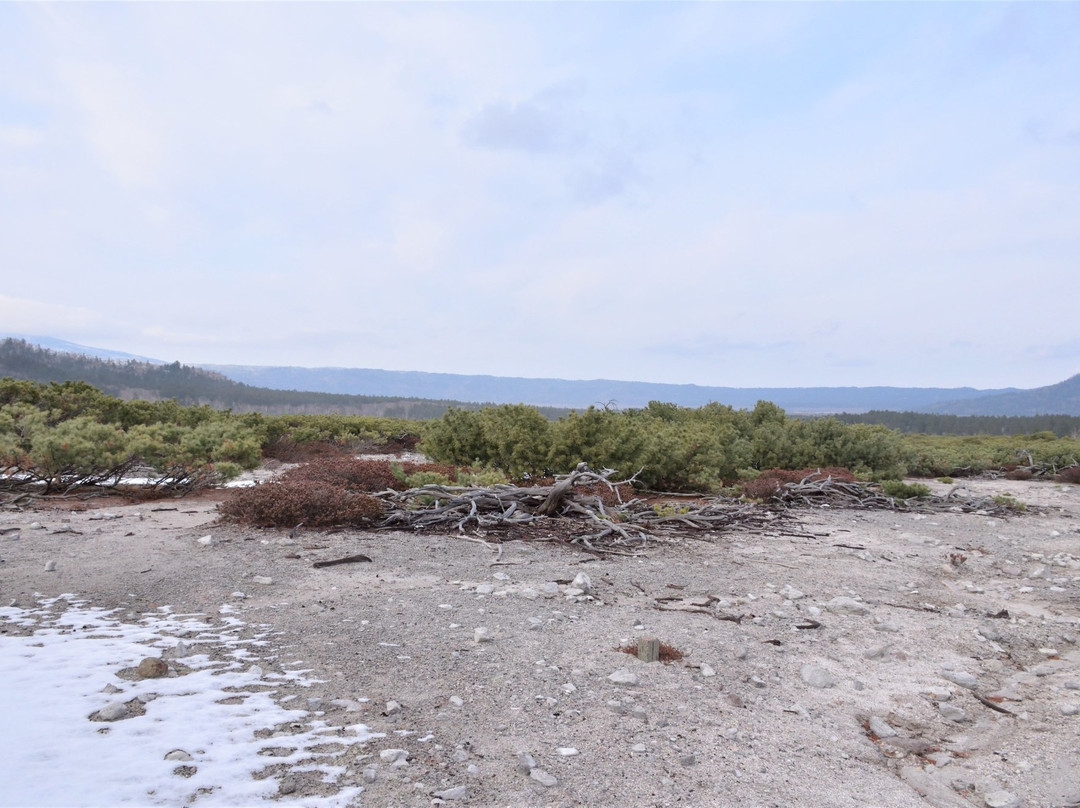Tsutsujigahara Nature Trail-弟子屈町必去景点