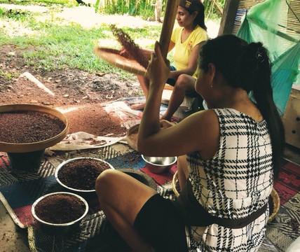 Primo Organic Chocolate Shop-克罗柏坎必去景点