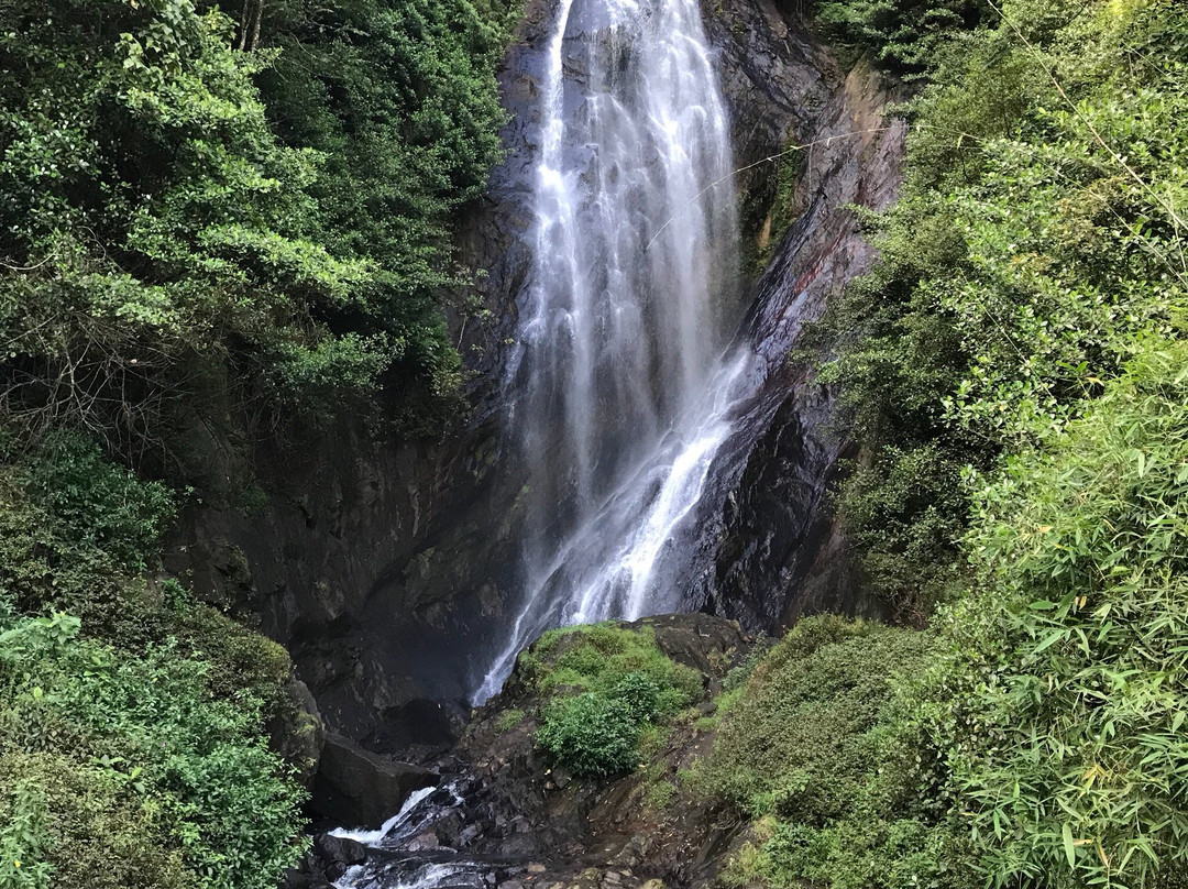 Nallathanniya旅游攻略图片