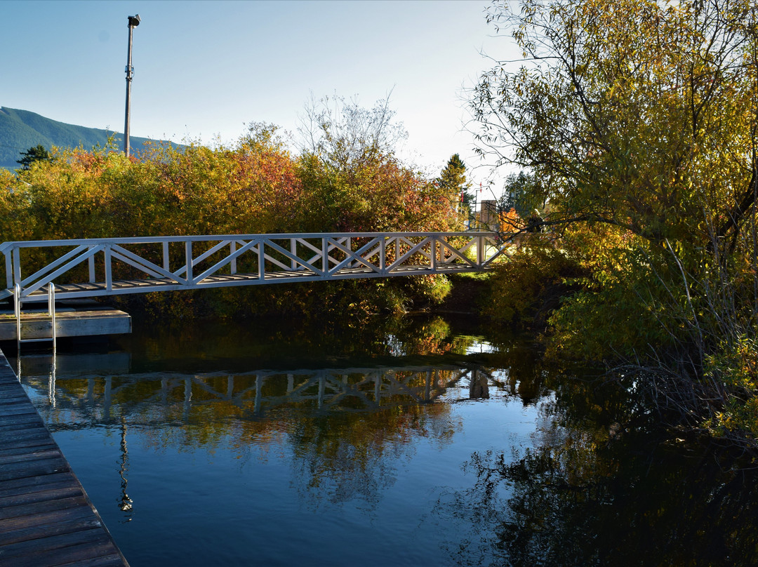 Cowichan Lake Visitor Services景点图片