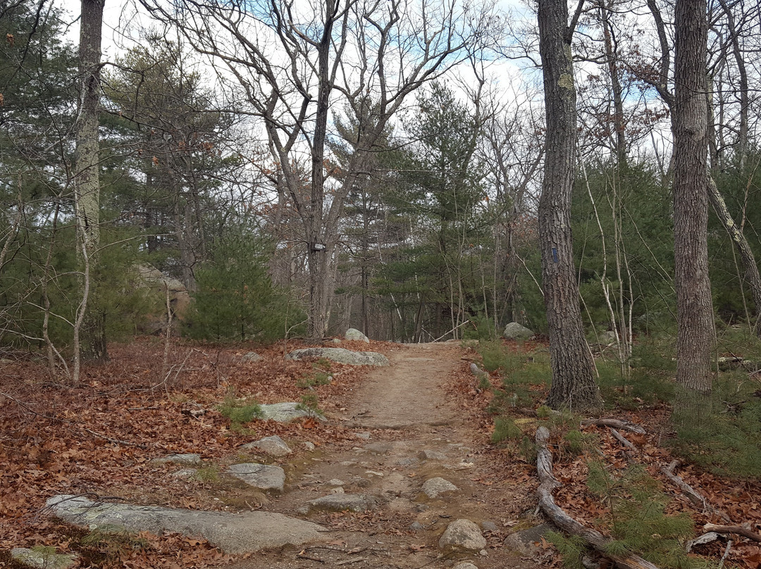 Lynn Woods-Lynn必去景点