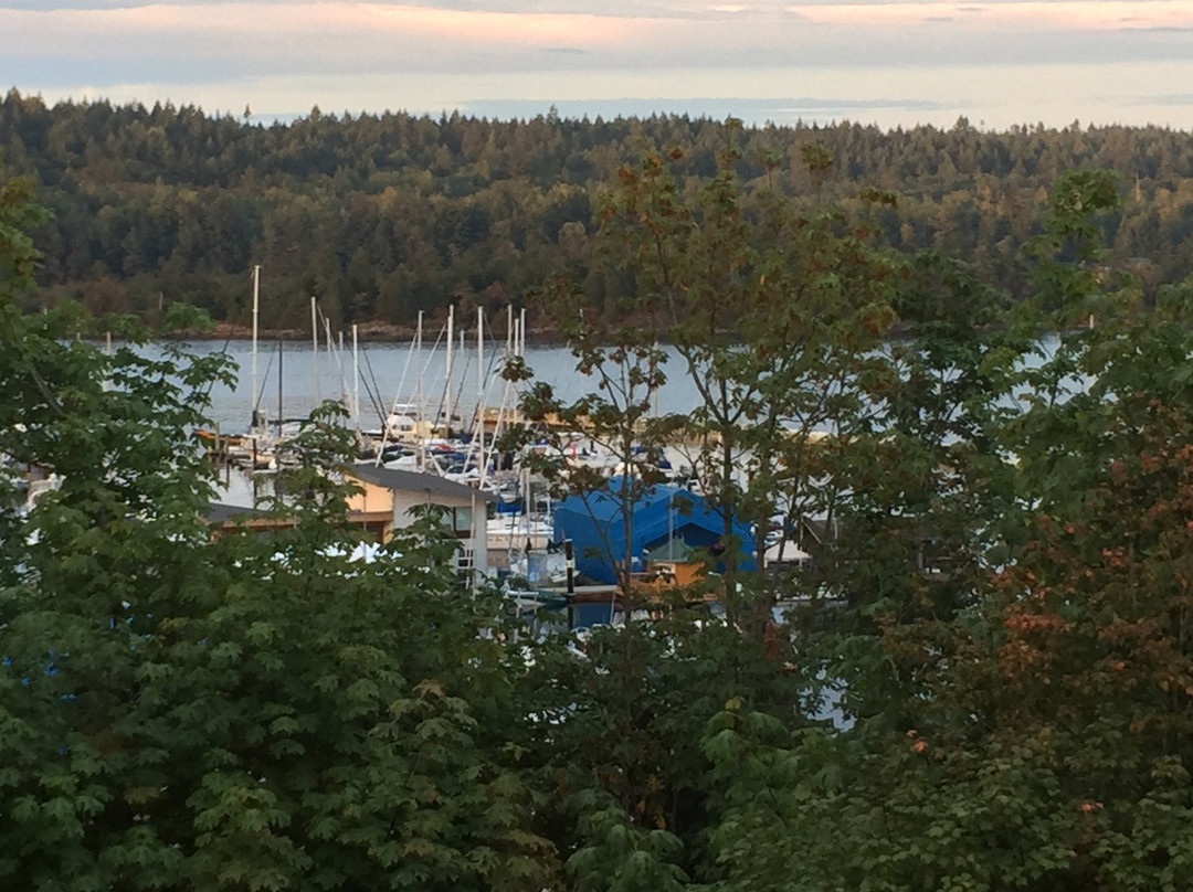 Ladysmith Waterfront Gallery景点图片