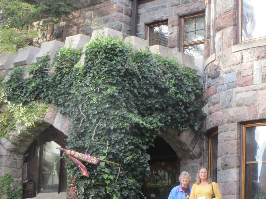 Castle Gallery-韦恩堡必去景点