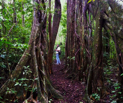 Monteverde Nature Guided Tours-圣埃伦娜必去景点
