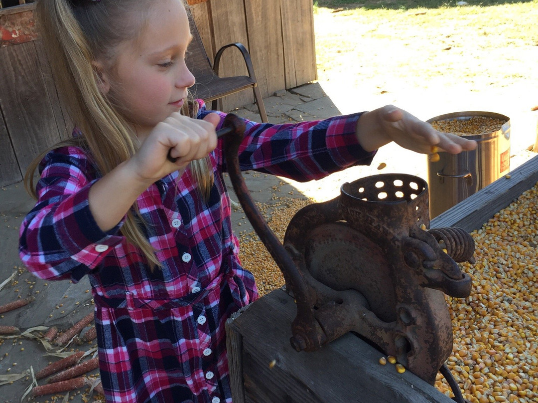 Parker Pioneer Homestead-Harrisburg必去景点