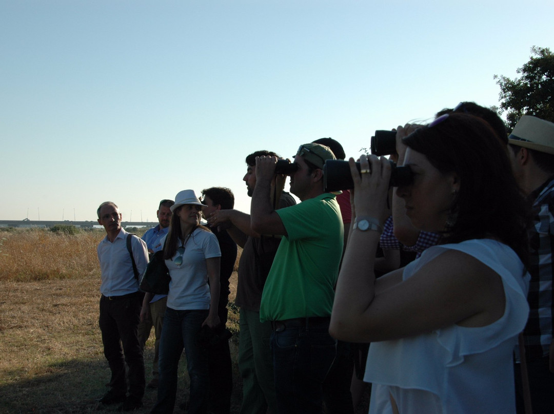 VisitSul-蒙蒂茹必去景点
