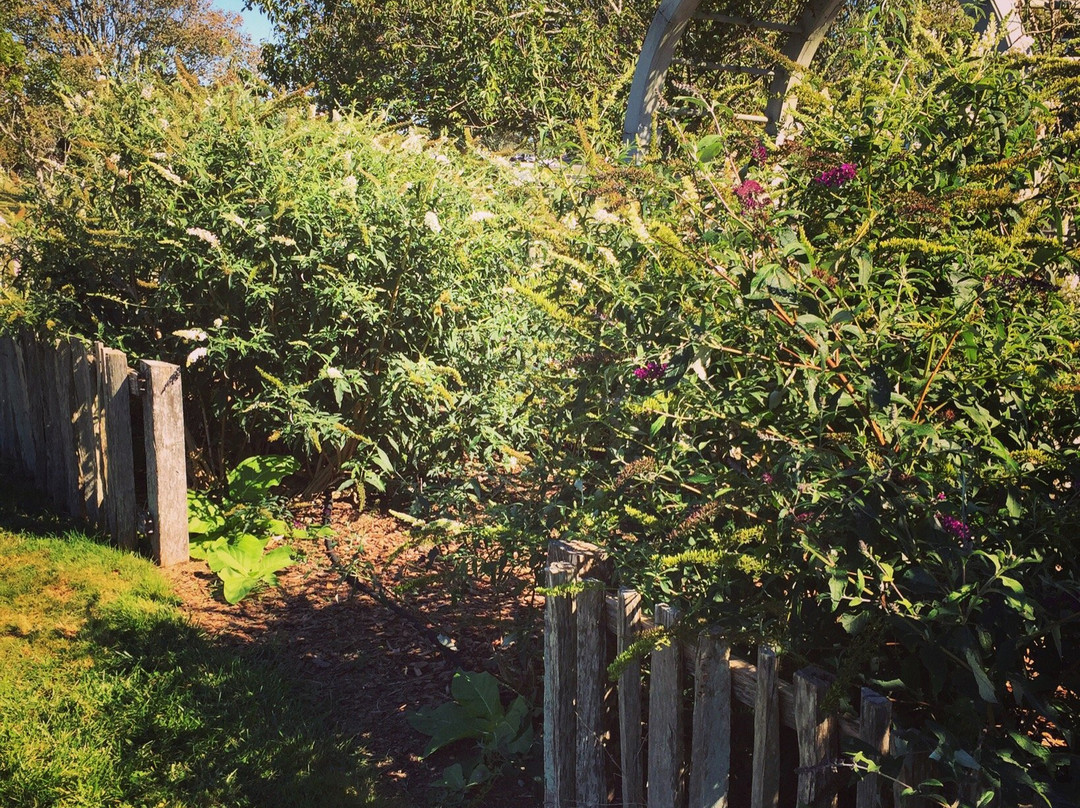 Second House Museum-蒙托克必去景点