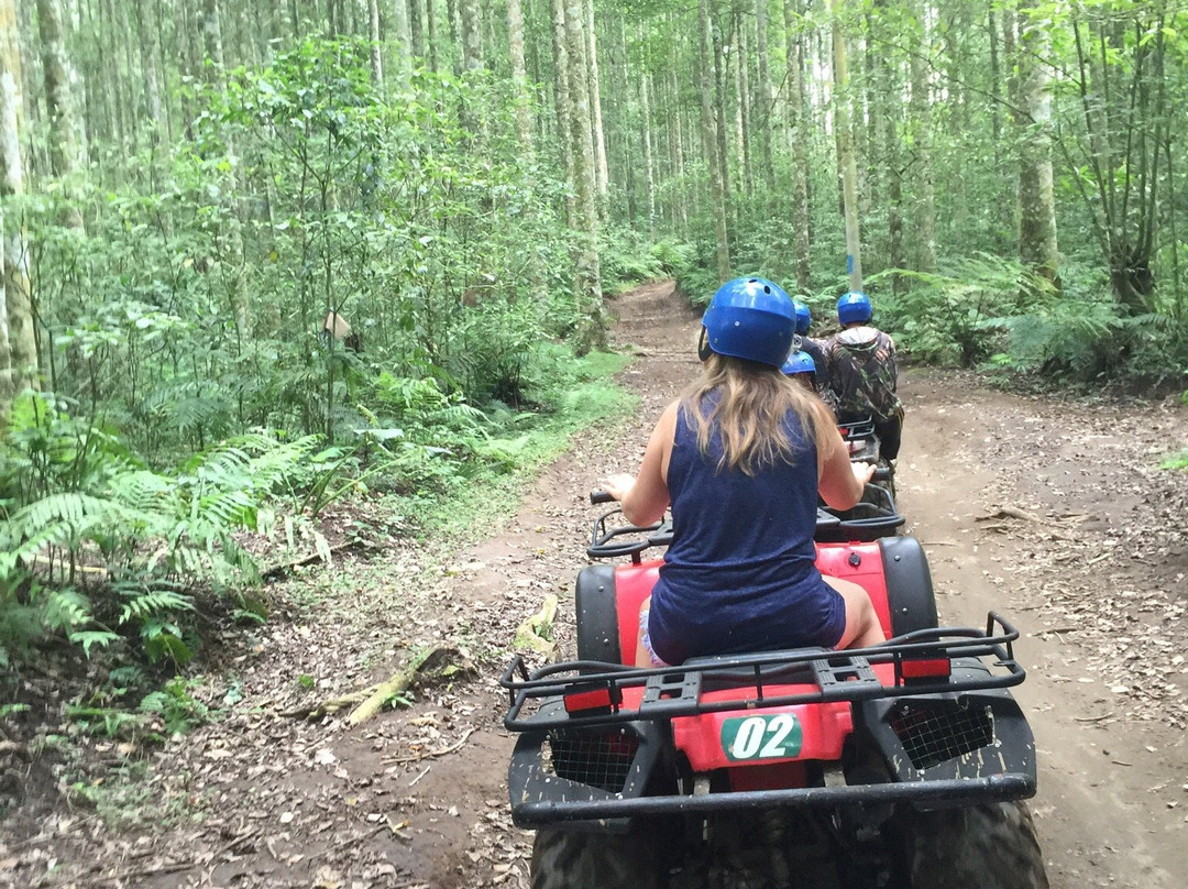 Brother Bali Adventure-巴图瑞提必去景点