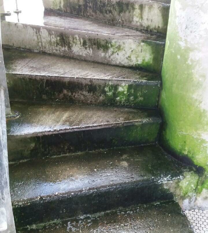 Plaine Oxygène-鲁瓦西--勒梅--阿姆洛必去景点