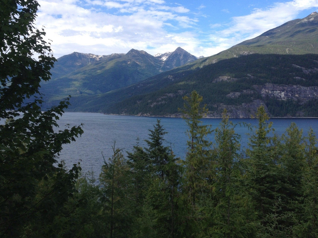 Bougainville Lodge B&B主图